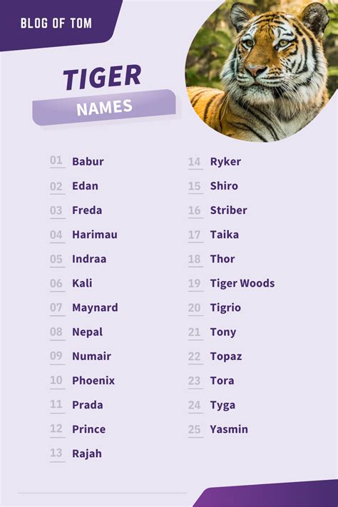 Tiger Names 999 Best Male And Female Naming Ideas In 2022 Pet Tiger
