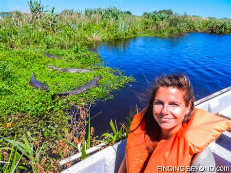 Our Ibera Wetlands Argentina Wildlife Adventure Finding Beyond