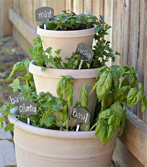 Diy Stacked Herb Garden Growing Herbs At Home Hip2save