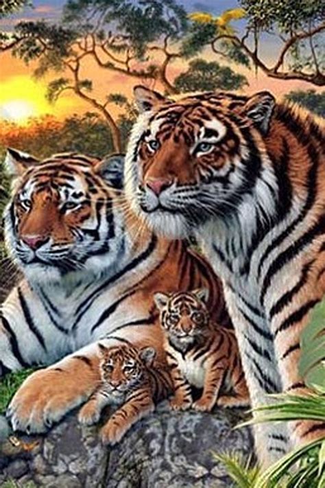 You can also change some of your preferences. Can you spot the 16 hidden tigers in this picture? - Woman ...