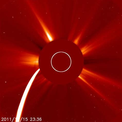 comet lovejoy survives fiery plunge through sun space