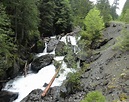 ScenicWA | Best Things to Do in Washington State | Dosewallips Falls