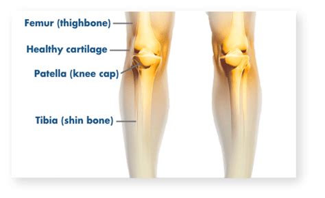 Knee Pain Location Chart Ovulation Symptoms