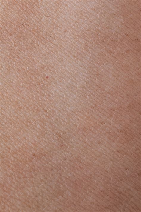 Close Up View Of Human Skin · Free Stock Photo