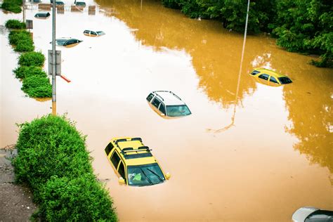 Flooded Car Repair Dangers Of Buying A Flood Affected Car