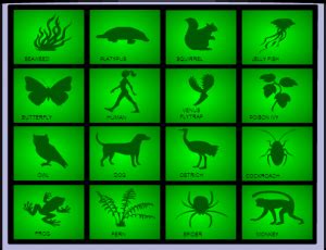 It can be one of the best and interesting science activities for kindergarten. smartboard game-living things game | Smart board games ...