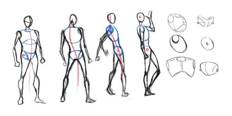 Basic Male Forms By Thesadaan On Deviantart
