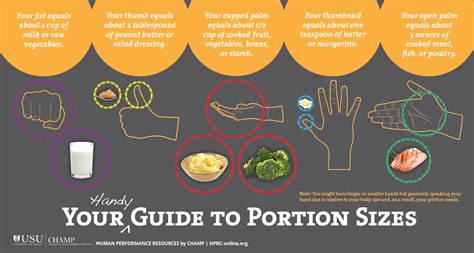 Your Handy Guide To Portion Sizes Hprc