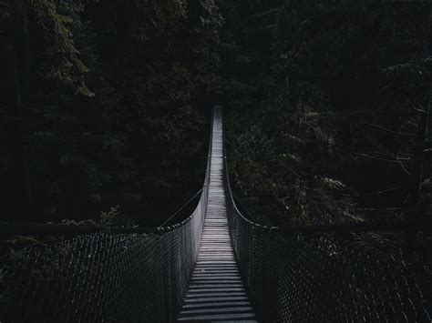 We present you our collection of desktop wallpaper theme: Download wallpaper 1400x1050 cable bridge, bridge, forest, trees, dark standard 4:3 hd background