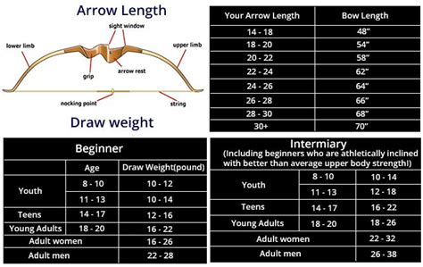 For Bow Hunter Share Some Information About Arrow Length Draw Weight