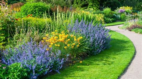 15 Best Plants For West Facing Gardens Enjoy The Afternoon Sun