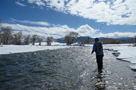 Guide To Winter Fly Fishing In Montana Montana Angling Company