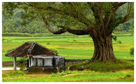 A Small Village Temple Photo From Rural Kerala Rustic Landscaping Rock Garden Landscaping