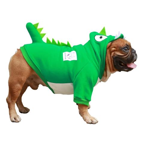 Dog Dinosaur Costumes Pet Owners Love These