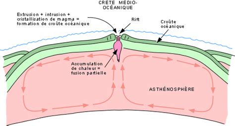 Chapitre Divergence Lithospherique Les Dorsales Morphologie En Lien Avec Leur