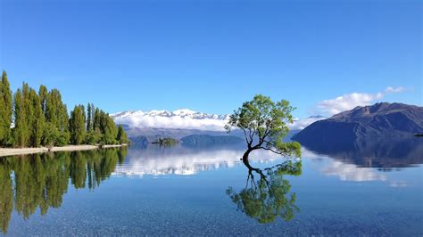 Spring in new zealand is full of surprises. Spring in Wanaka | Weather and Seasons in Wanaka NZ
