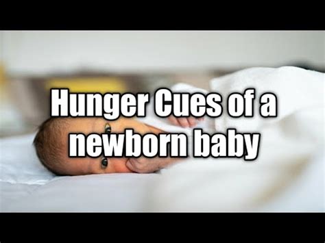 Hunger Cues Of A Newborn Baby Signs That Your Baby Is Hungry