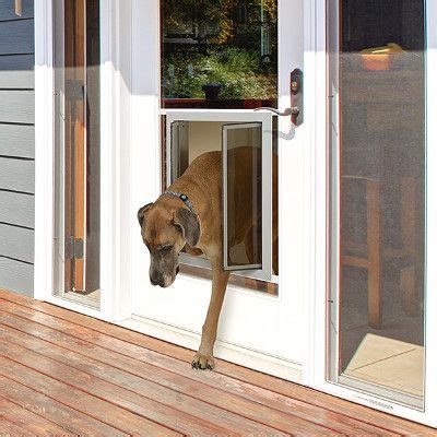 As part of the nation's leader for in glass dog door installation, you will get connected to potential customers online and at glass pet doors while. French & Patio Glass Doors | Dog rooms, Patio dog door ...
