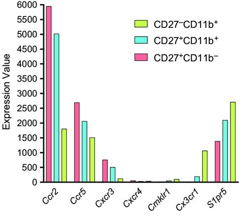 Chemokine Expression Patterns In Murine Nk Cell Subsets Rna Seq Data