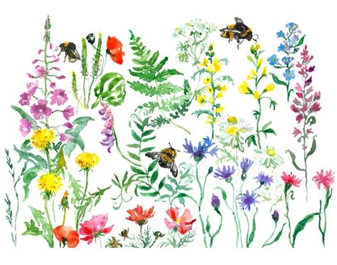 Watercolor Wildflower Printable Art Painting Wild Flower Wall Etsy