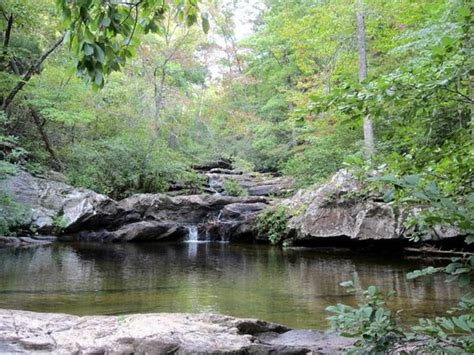 Our View Picture Of Cheaha Resort State Park Delta Tripadvisor