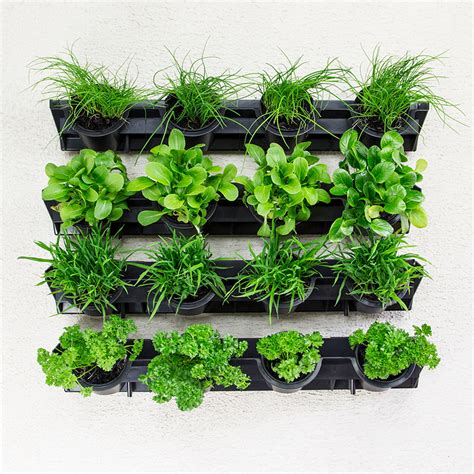 Greenwall Pixel Pot Vertical Planting Kit Holman Industries