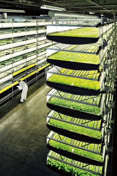 Aerofarm Has Built The Worlds Largest Vertical Farm Wired Uk