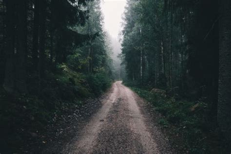 Johannes Hulsch I Carry Your Heart Forest Photos Forest Road Scenic