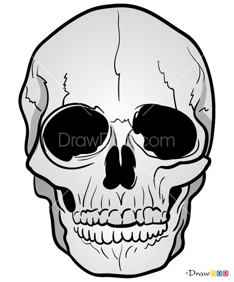 How To Draw Realistic Skull Skeletons