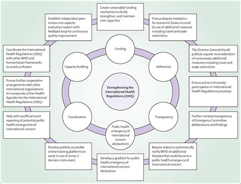 The International Health Regulations 10 Years On The Governing