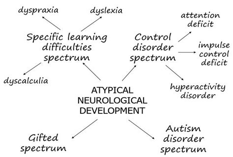 Forms Of Atypical Development Download Scientific Diagram