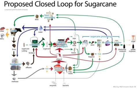 Ethanol Production For Sugarcane IAS4Sure