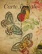 Butterflies Vintage Postcard Free Stock Photo - Public Domain Pictures