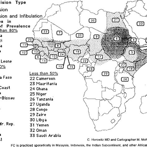 Types Of Female Circumcision Download Scientific Diagram