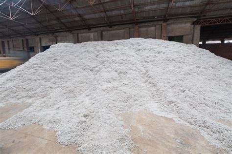 Cotton Byproducts Supplement Cattle Feed Southeast Agnet