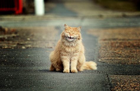 Gotcha Happy April Fools Day From The 500px Team 500px