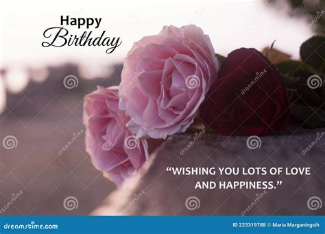 Happy Birthday Wishing You Lots Of Love And Happiness Birthday Card