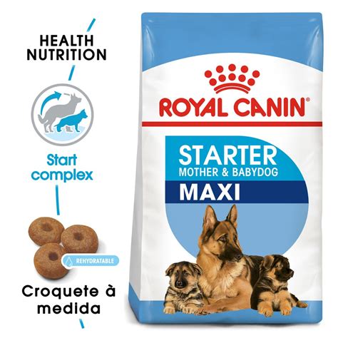 Royal Canin Maxi Starter Formato Saco De 4 Kg