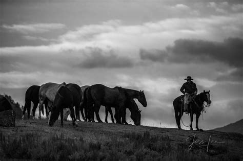 Watching the herd | Cowboy Country, beyond the road. | Photos by Jess Lee