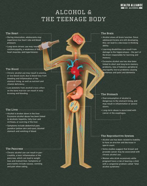 This Pin It Describes The Effects Of Alcohol On An Adolescents Body The Body Is Still Growing
