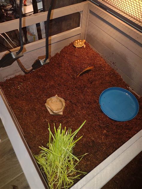 18mo Finance Gutinneen Tortoise Cage Large Tortoise Habitat With