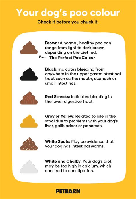Dog Poo Chart What The Colour Is Telling You Petbarn — Naive Pets