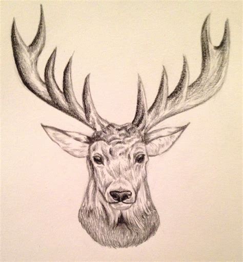 Its Christmas My Deer Pencil Drawings Reindeer Drawing Drawings