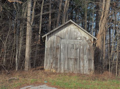 Old Shed In The Woods Free Photo Download Freeimages