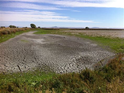 Gov Brown Declares Drought In Deschutes County