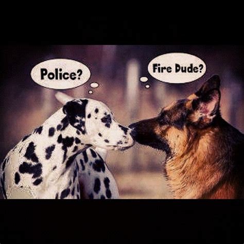Police Dog Fire Firefighters Pinterest German