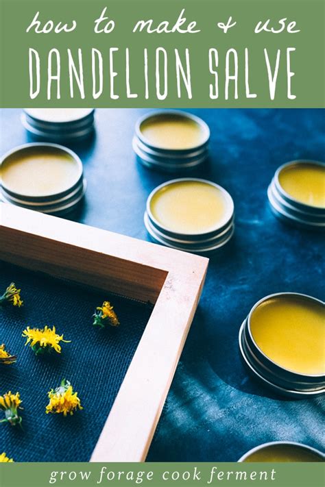 How To Make And Use Dandelion Salve Recipe In 2020 Salve Recipes
