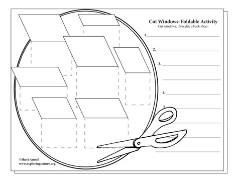 Cell Organelles Cut Windows Foldable Activity