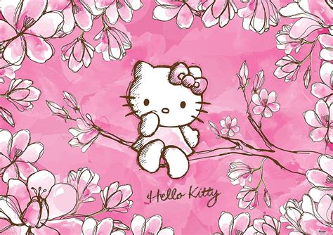 Pin Di Love Hello Kitty Second Account