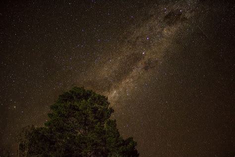 Galaxy Night 2k Tree Starry Nature Sky Universe Falling Stars